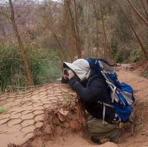 Meet your Posher, Peter